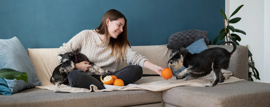 Creating a Pet-Friendly Home: Simple Ways to Make Your Space More Comfortable for Cats and Dogs