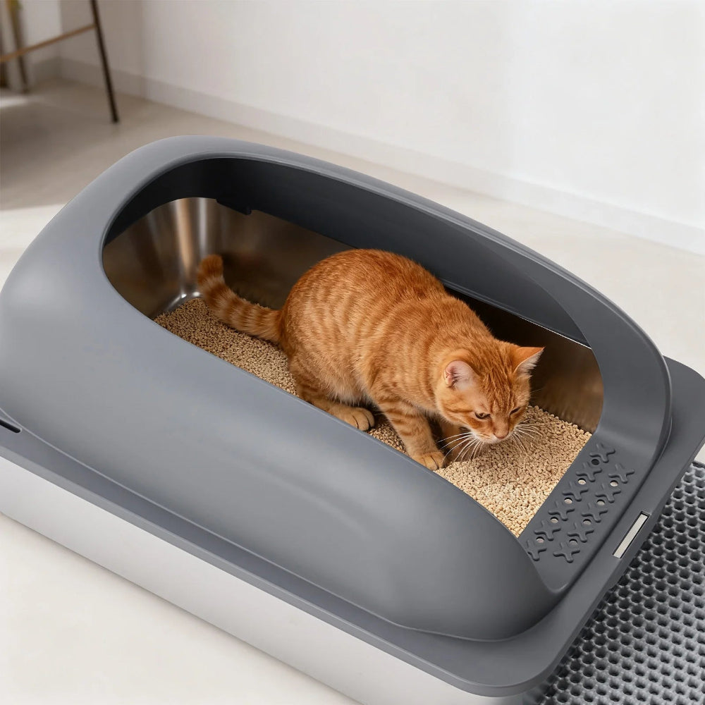 Cat Essentials