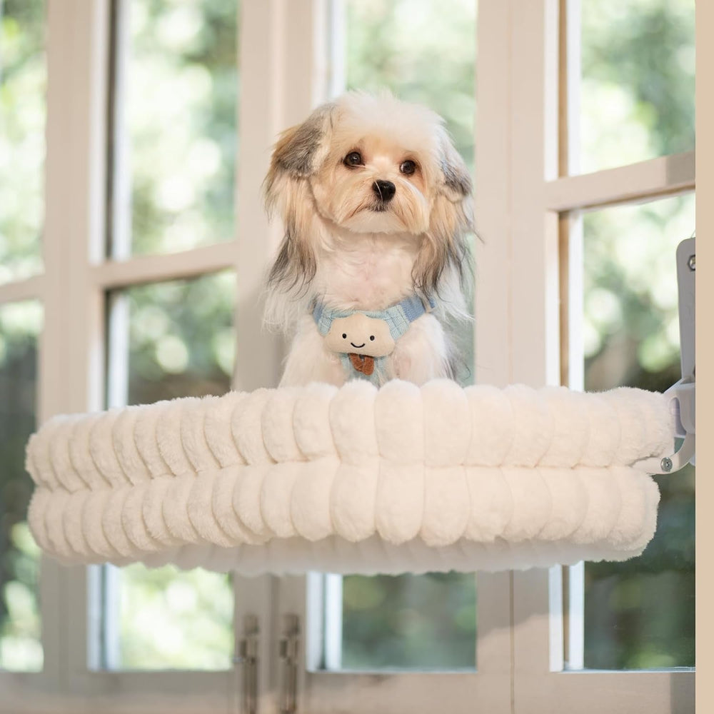 Cat Window Perch for Indoor Cats Hammock for Window with Reversible Cushion, Foldable Cat Window Bed for Large Cats and Kittens(White,Medium)