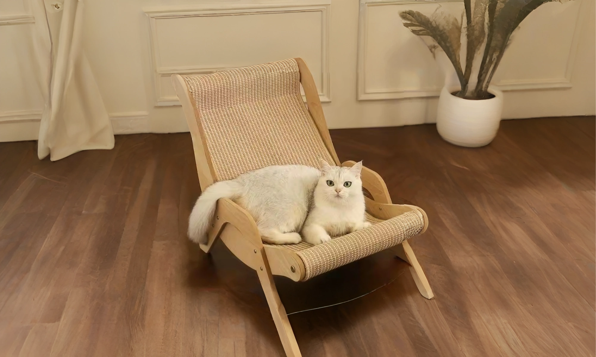 A Cozy Lounge Your Cat Will Love