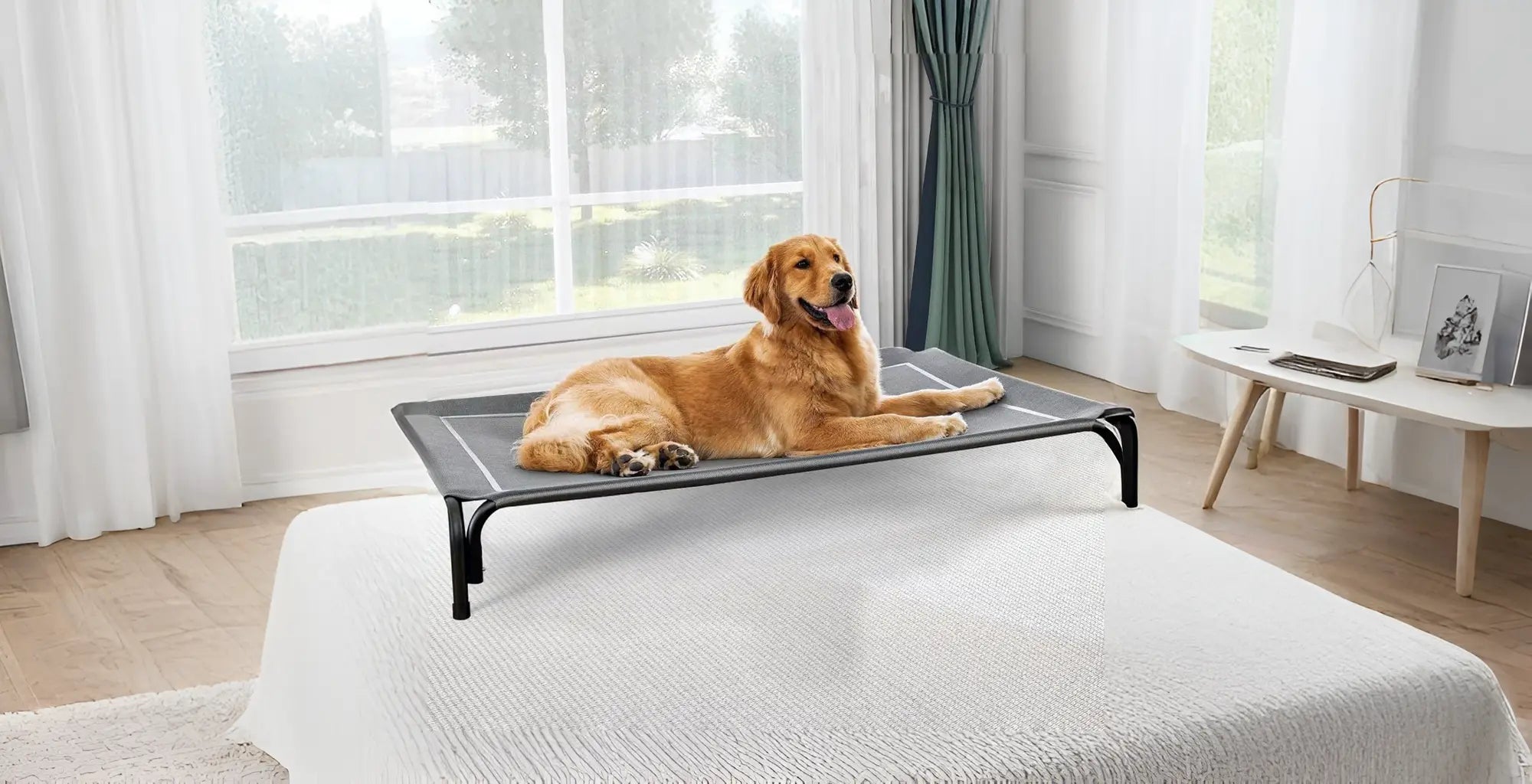 Comfort Built for Bigger Dogs